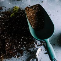 Compost, Grit & Gravel