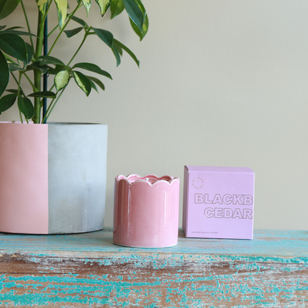 Contemporary Kiln Scalloped Pink Candle - Blackberry & Cedarwood