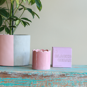 Contemporary Kiln Scalloped Pink Candle - Blackberry & Cedarwood