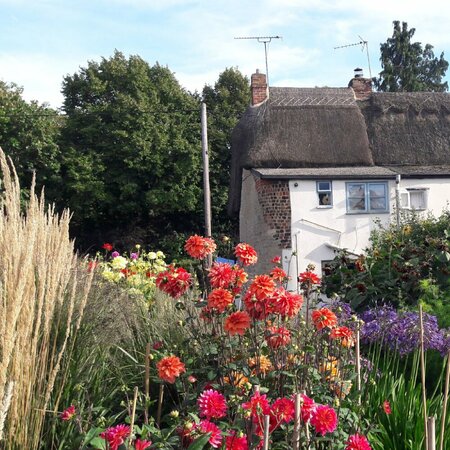 Cottage Gardening & Gardening for Wildlife Workshop - Tuesday 24th June 2025
