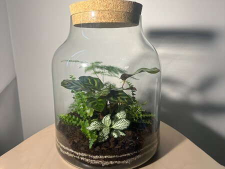 Create Your Own Terrarium Workshop - Friday 9th July 2027