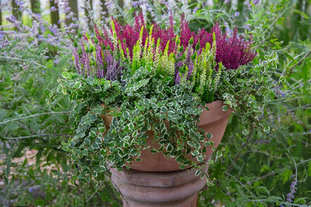 Creative Containers - A Garden in a Pot for Autumn, Winter & Beyond - Tuesday 20th October 2026