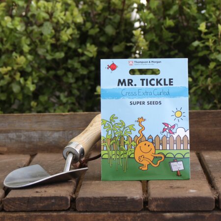 Cress Extra Curled Seeds by Mr. Men™ Little Miss™ & Mr Tickle