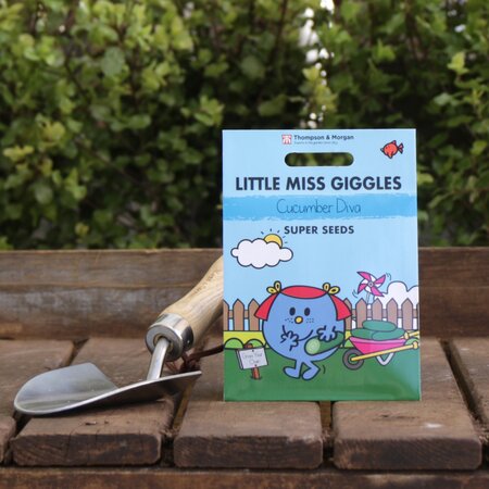 Cucumber 'Diva' Seeds by Mr. Men™ Little Miss™ & Little Miss Giggles