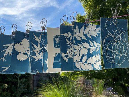 Cyanotype Printmaking Workshop - Wednesday 13th May 2026