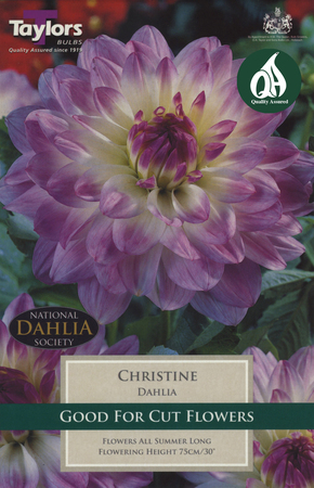 Dahlia - Christine Bulbs (1 per pack)