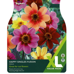 Dahlia - Happy Singles Fusion (2 per Pack)