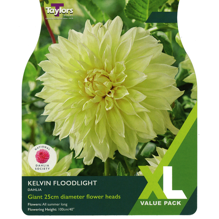 Dahlia - Kelvin Floodlight (3 per Pack)