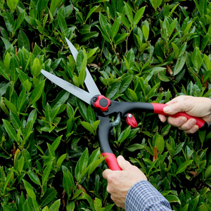 Darlac Classic Hedge Shears