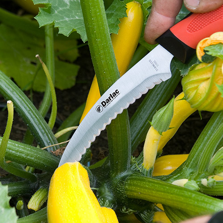 Darlac Harvest & Asparagus Knife