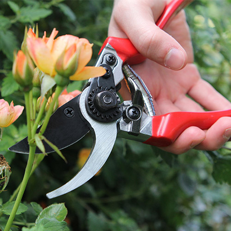 Darlac Ladies Professional Pruner