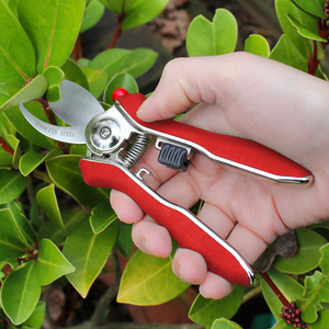 Darlac Mini Bypass Pruner