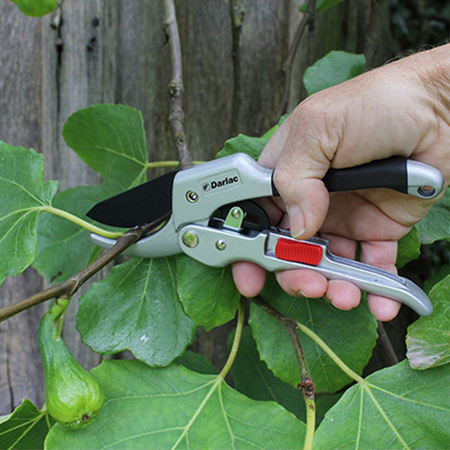 Darlac Super Classic Ratchet Pruner