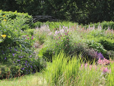 Designing a Wildlife-Friendly Cottage Garden - Tuesday 7th July 2026