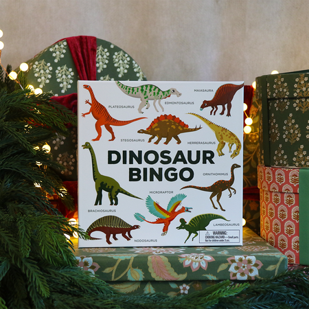 Dinosaur Bingo for Kids