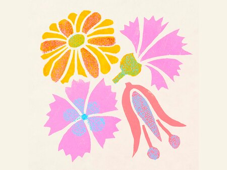 Floral Lino Print Workshop - Friday 23rd July 2027