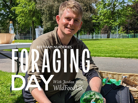 Foraging Day Talk - Saturday 9th August 2025