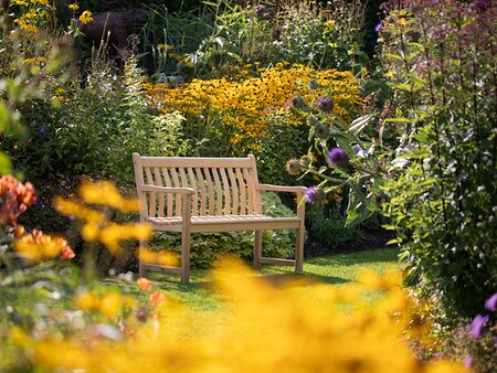 Garden Colour Design for Maximum Impact - Tuesday 28th July 2026