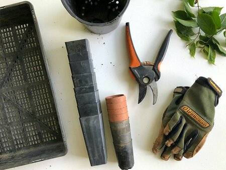 Gardening Made Easy Workshop: Part One - Tuesday 18th May 2027