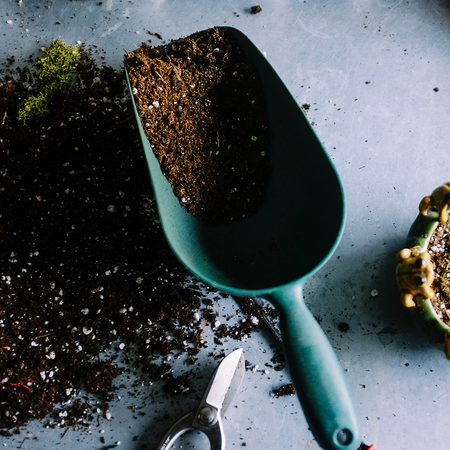 Gardening Made Easy Workshop: Part One - Tuesday 19th May 2026