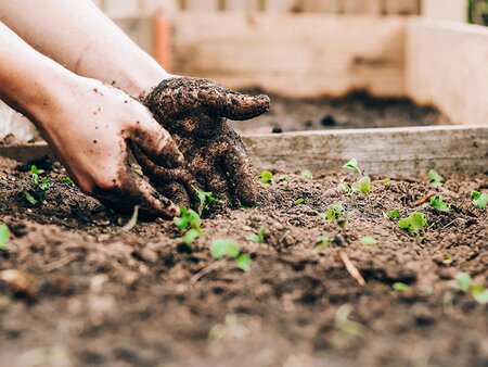 Gardening Made Easy Workshop: Part Two - Tuesday 15th June 2027