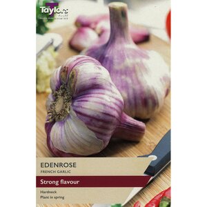 Garlic - Edenrose (Pack of 2 Bulbs)