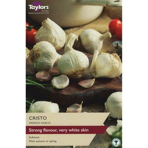 Garlic - French Cristo (Pack of 2 Bulbs)