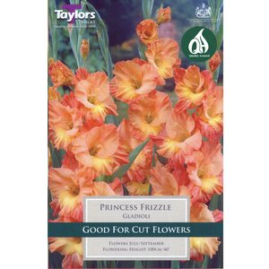 Gladioli - Princess Frizzle (10 per Pack)