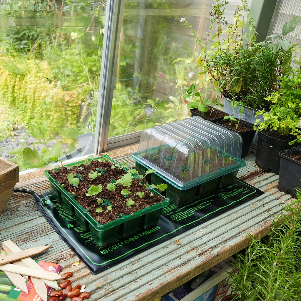 Illustration of Propagation Mat For Window Trays