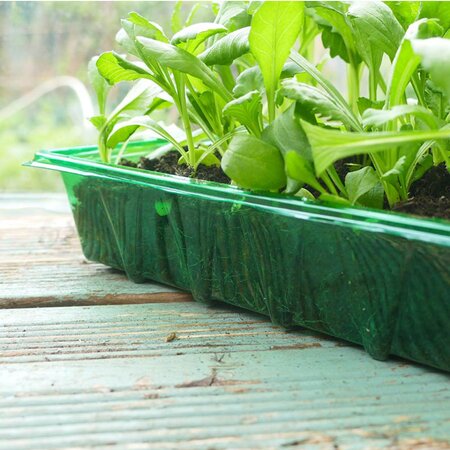 Gro-sure Visiroot Seed Tray (Pack of 4)