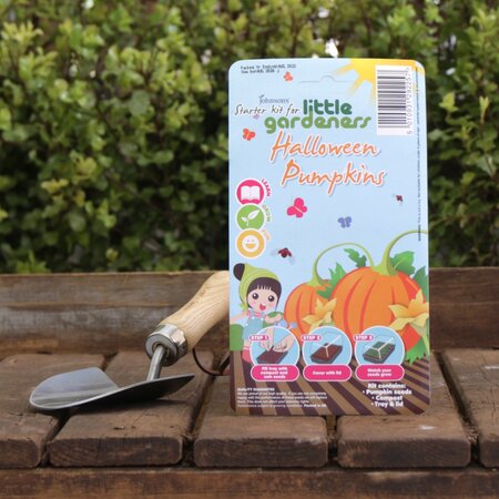 Halloween Pumpkins Starter Kit by Little Gardeners
