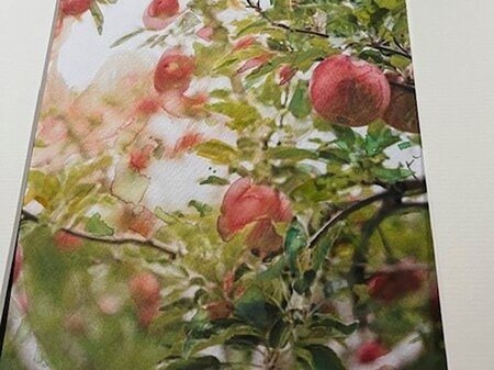 Harvest Scenes - Mixed Media Art Workshop - Thursday 1st October 2026