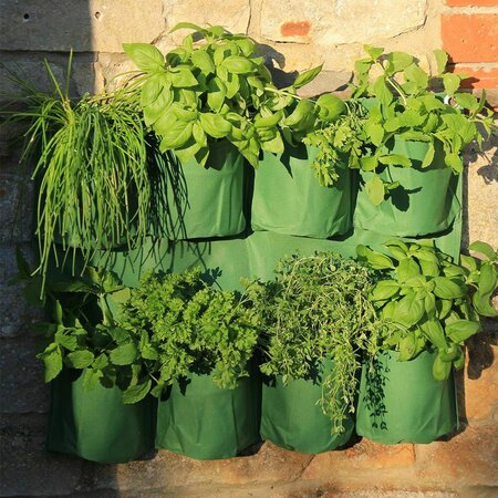 Haxnicks Herb Wall Garden