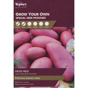 Heidi Red Main Crop Seed Potatoes (pack of 10 Tubers)
