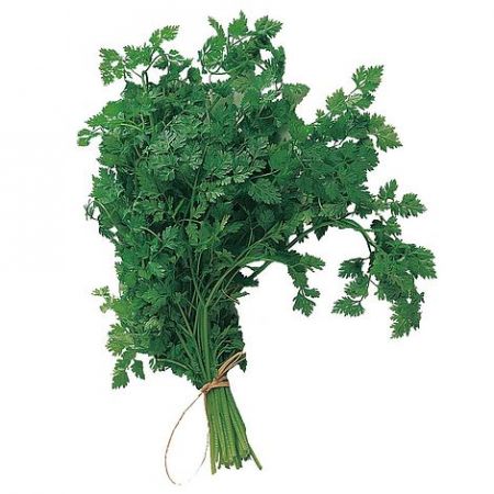 Herb Seeds - Chervil