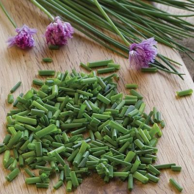 Herb Seeds - Chives