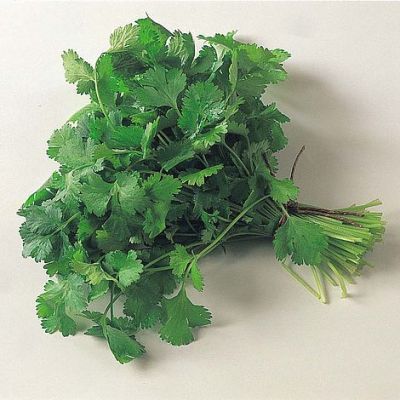 Herb Seeds - Coriander