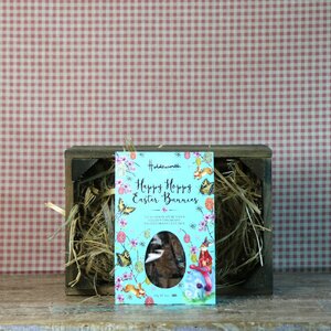 Holdsworth Happy Hoppy Easter Bunnies