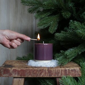St.Eval Inspiritus Winter Plum Winter's Pot Candle