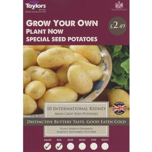 International Kidney Main Crop Seed Potatoes (pack of 10 Tubers)
