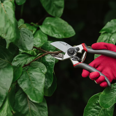 Kent & Stowe Professional Anvil Secateurs