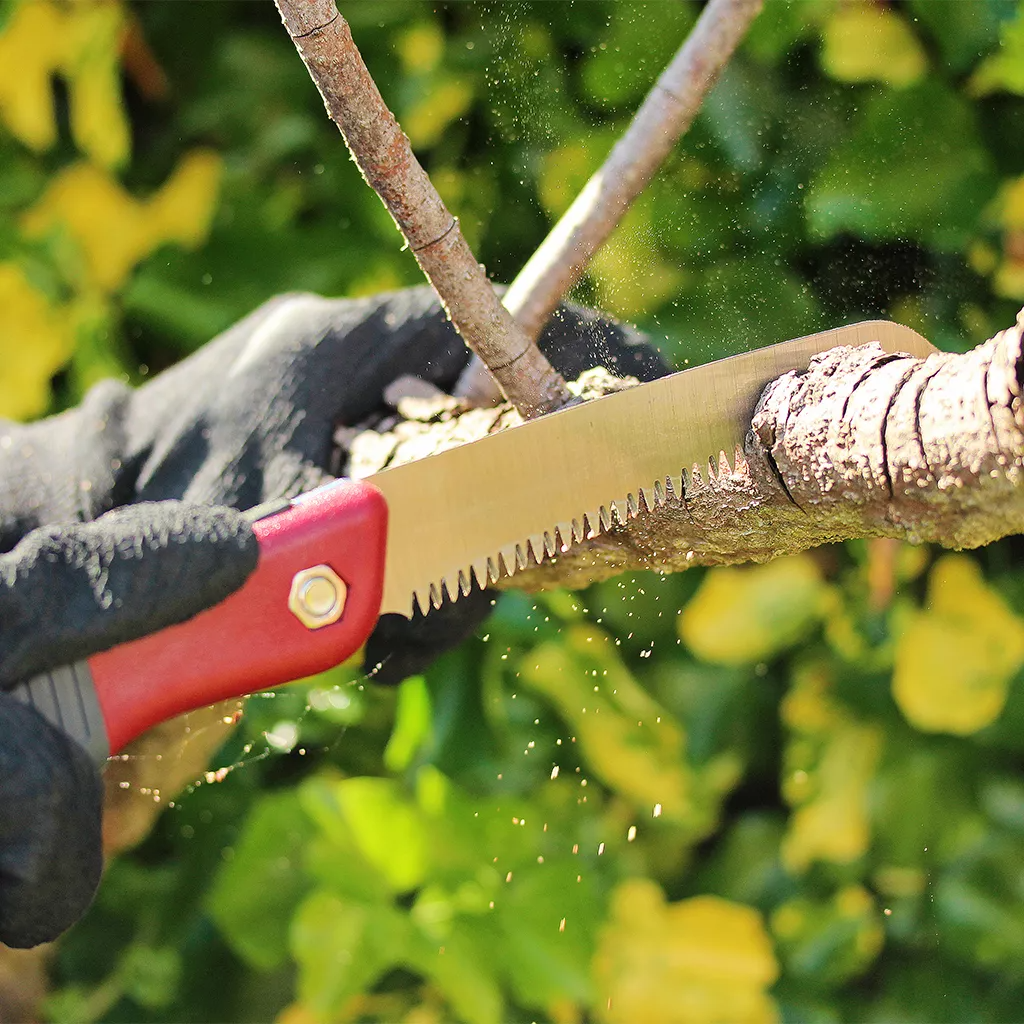 Kent Stowe Pruning Saw Turbo Saw Beetham Nurseries