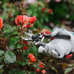 Kent & Stowe Rose Cut & Hold Secateurs