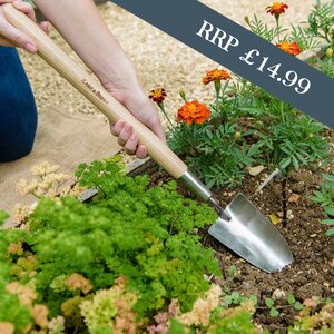 Kent & Stowe Stainless Steel Border Hand Trowel