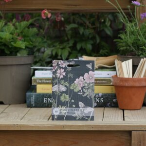 Kew Pollination Collection - Musk Mallow Seeds