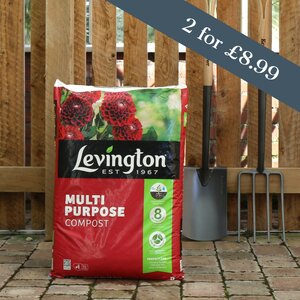 Levington Multi Purpose Compost - 40 Litre