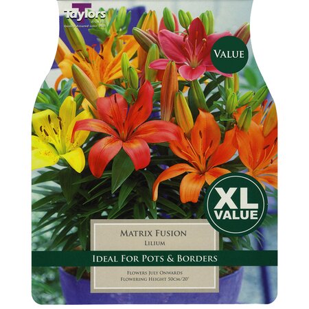 Lilium - Matrix Fusion (9 per Pack)