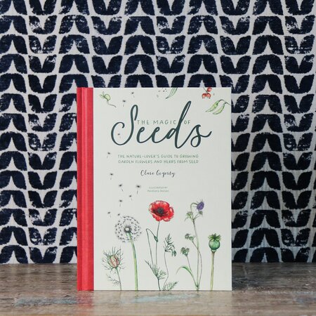 Magic of Seeds Book by Clare Cogerty