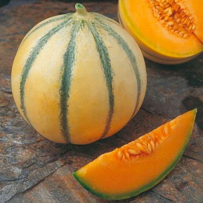 Melon Seeds - Alvaro F1 Hybrid