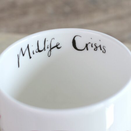 Midlife Crisis Bird Mug by Anna Wright